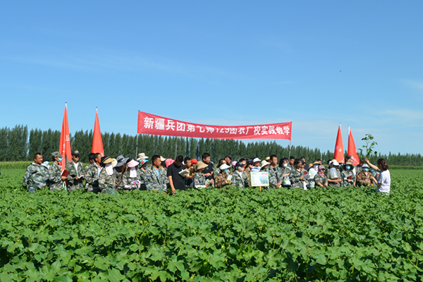 新疆生产建设兵团新疆生产建设兵团第七师农广校检查组来129团农广校